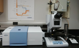 Bruker Tensor II FTIR system with Hyperion 2000 microscope.