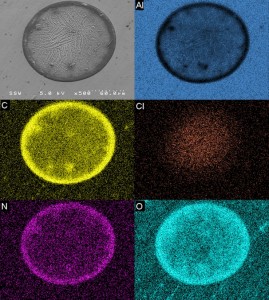 EDX mapping images from new SSW EDX detector.